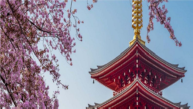 image japon
